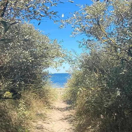 Cozy Comfort Near Baltic Waters, Cleaning Included Wendelstorf